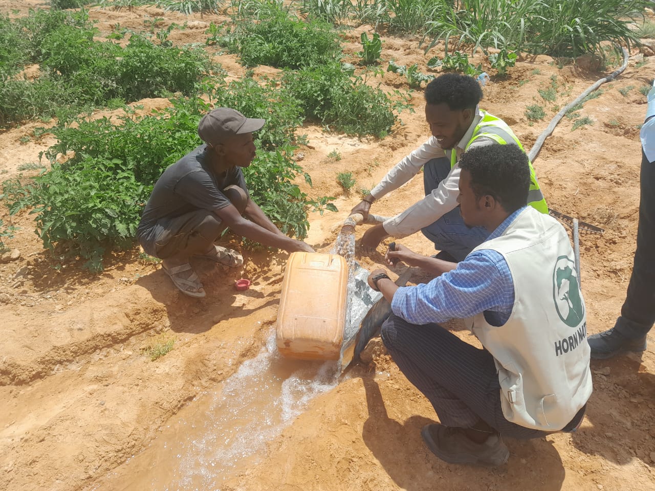 Field photo 18