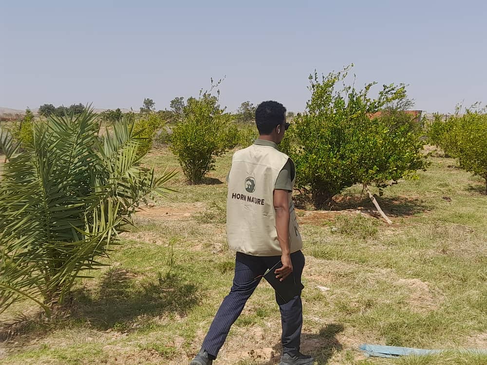 Community members working on sustainable agriculture