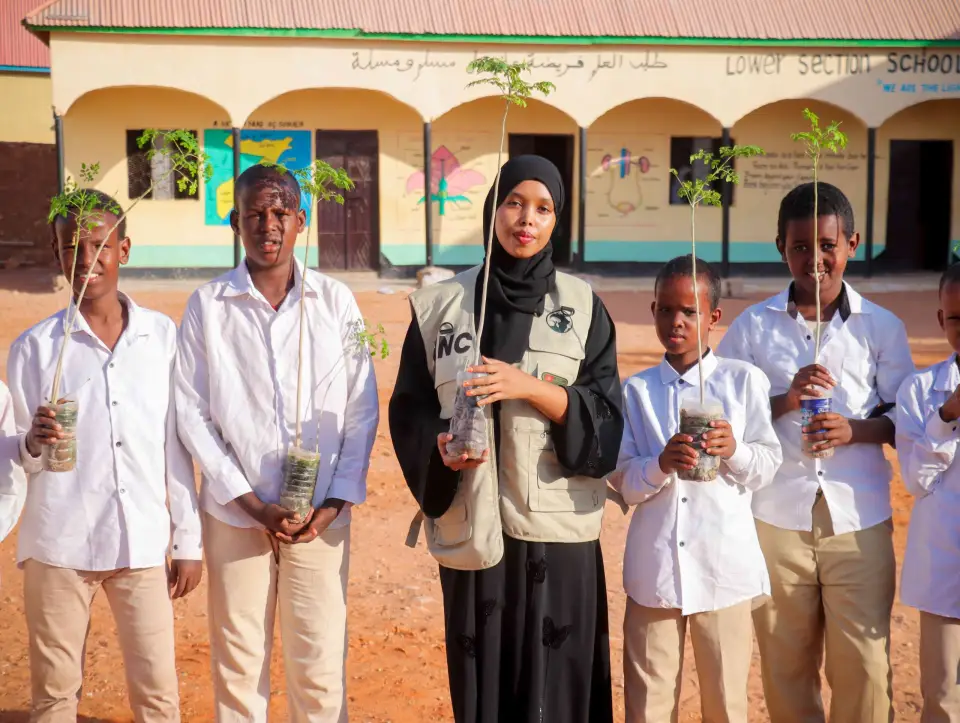 Community Reforestation and Green Belt Project