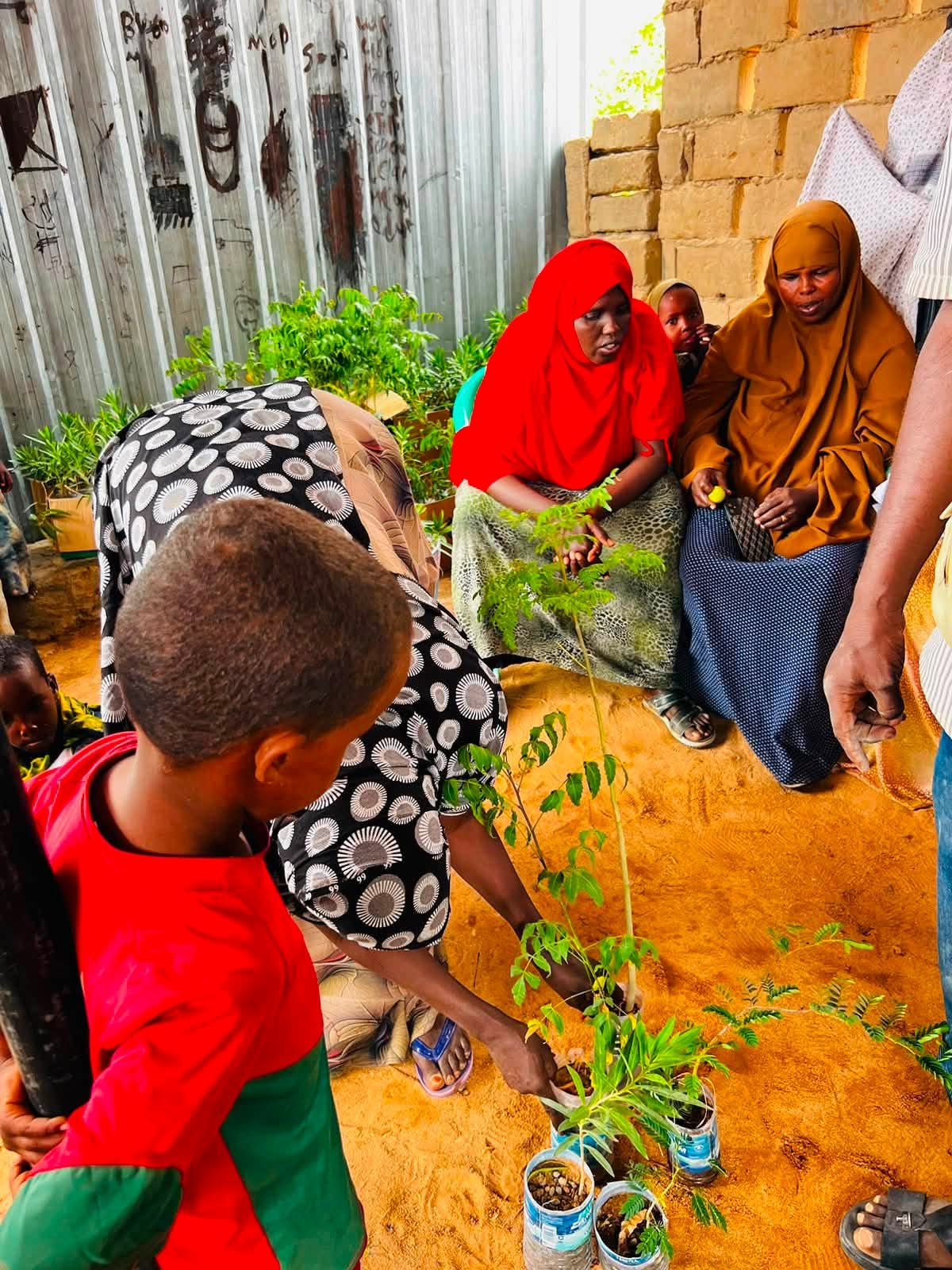 Community Development