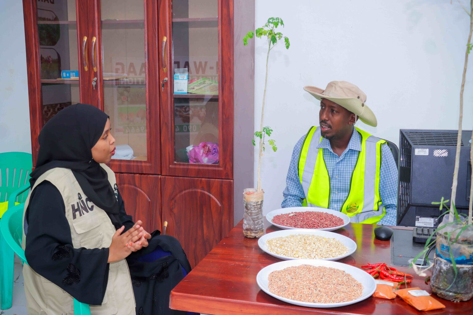 Community members planting trees in Puntland